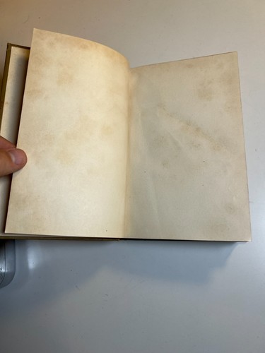Antikes verziertes vergoldetes geprägtes Buch Sportsman’s Club / Sattel Harry Castlemon - Bild 12 von 24