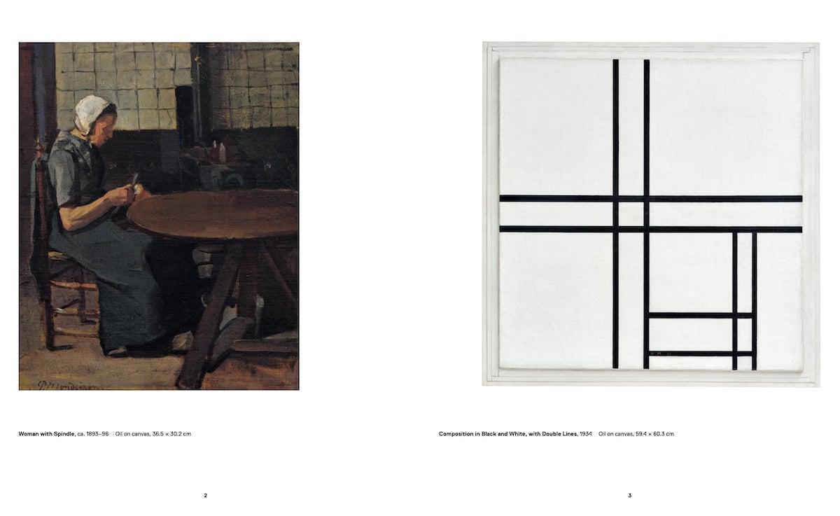 Thumbnail - Mondrian Evolution | Gaensheimer | Englisch | Taschenbuch | 264 S. |