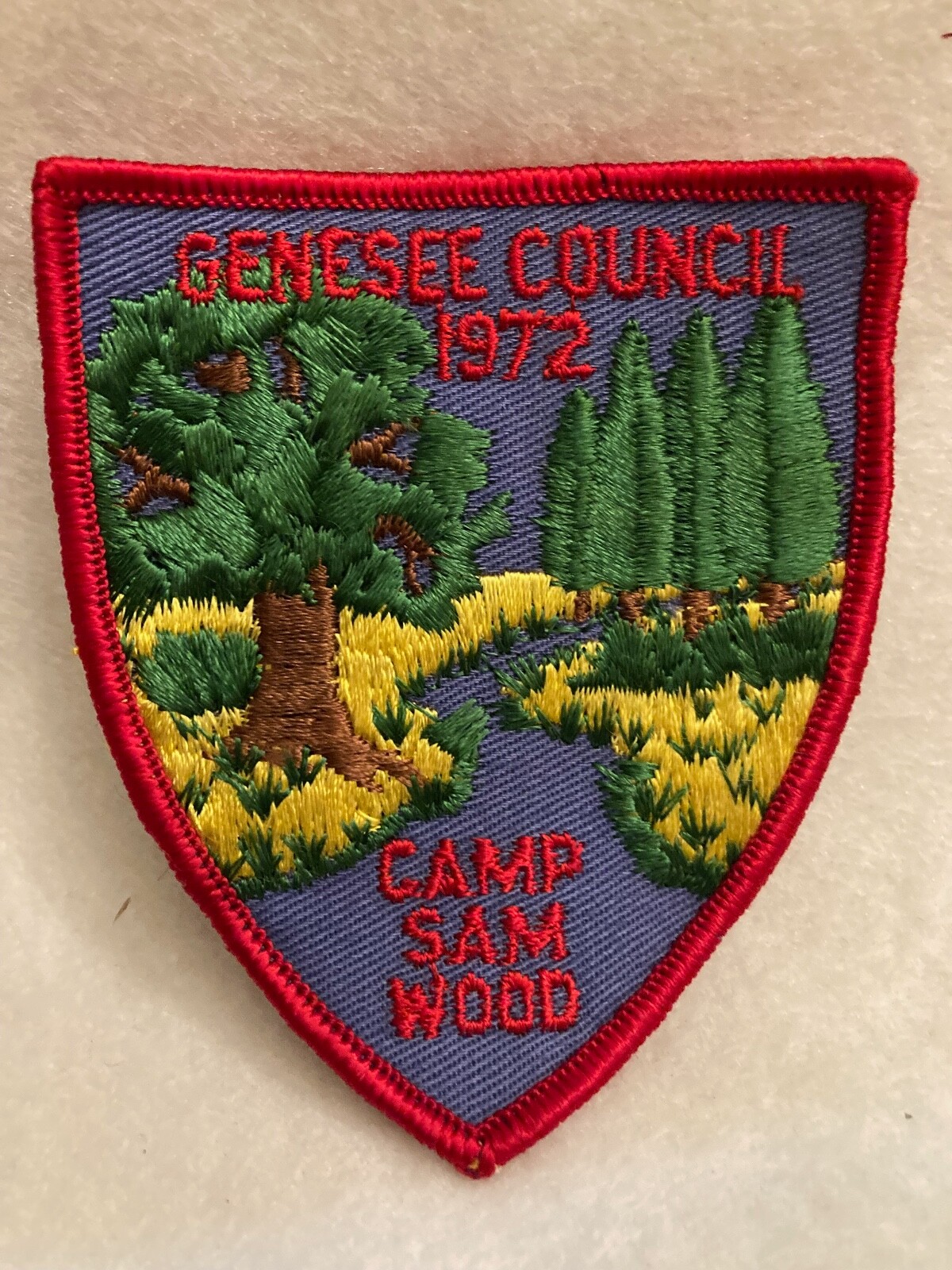(17) Boy Scouts 1972 Genesee Council Camp Sam Wood patch eBay