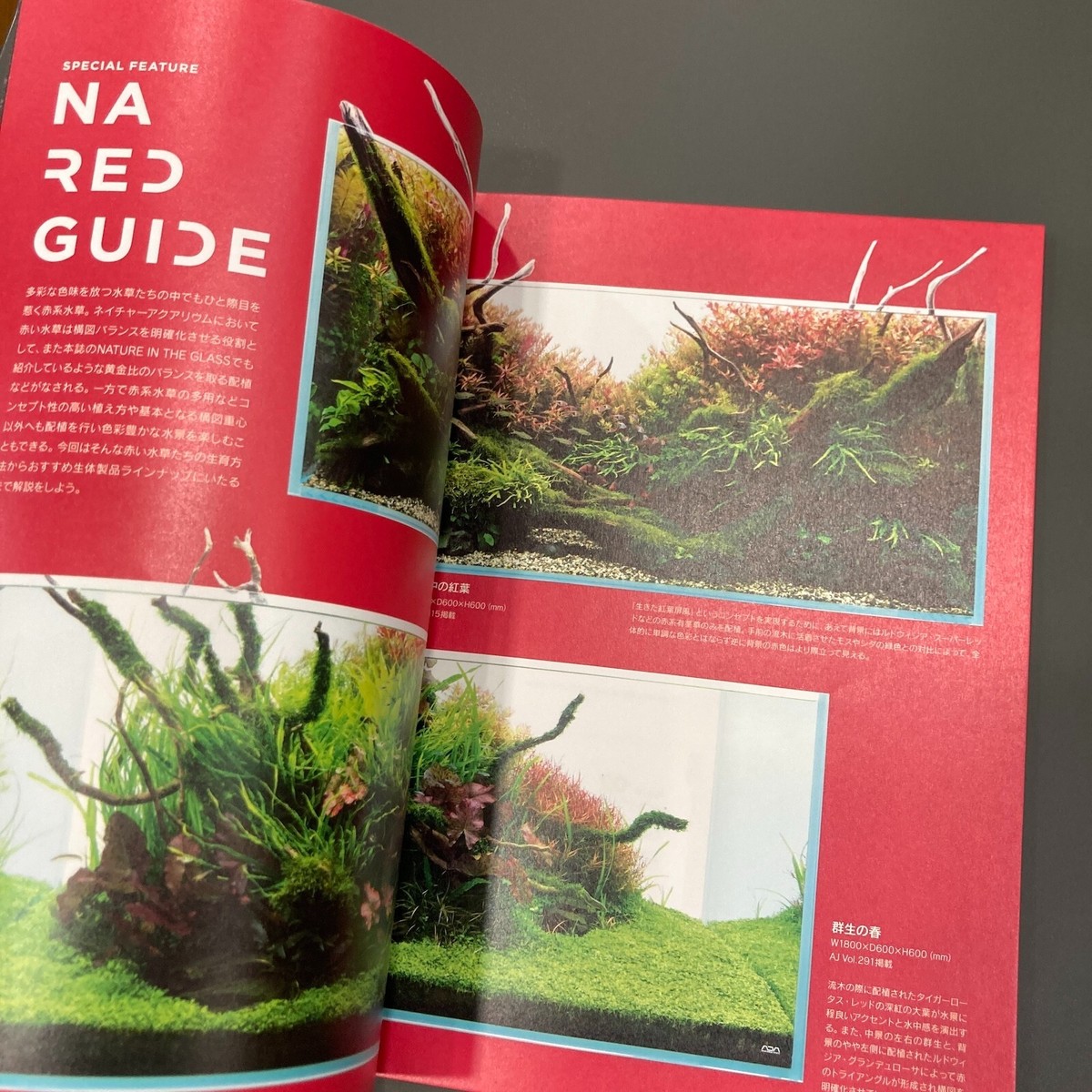 ADA Aqua Journal AJ No.336 Oct. 2023 Aqua Design Amano Japanese