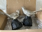 Picture 2 of 6