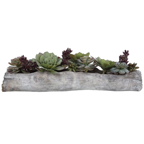 Uttermost Charita Lush Succulents - Picture 1 of 1