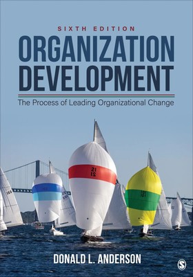 Organization Development | The Process of Leading Organizational Change | Buch