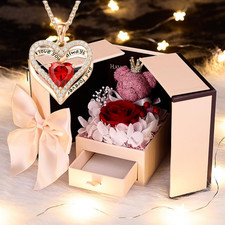 Preserved Red Rose Gift Box with Heart Necklace Eternal Real Rose Dainty Love Pe