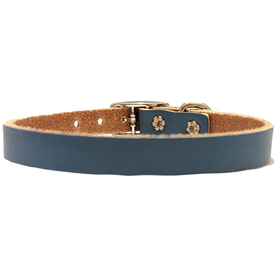 Ancol Leather Dog Collar Real Bridle Colourful Pet Puppy XS Small Blue Foto 4 de 4