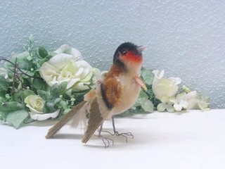 Rare STEIFF FINCH 10 cm with ID