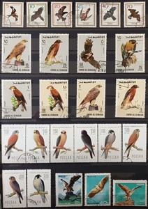 BIRDS OF PREY. EAGLES, HAWKS. COLLECTION 66 STAMP-13 FULL ISSUES. LOT IN GERMANY