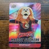 2025-26 Upper Deck MVP Mascot Stickers Spartacat Ottawa Senators MS-18