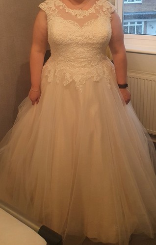 Champagne coloured wedding dress - Bridal size 24 / High St size 20 - Picture 5 of 6
