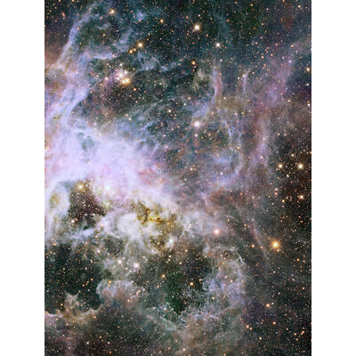 Hubble Weltraumteleskop Sonden Innenraum Tarantelnebel Tiefansicht Kunst Poster