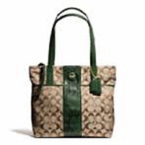 NWT Coach Signature Stripe Python Purse Tote Khaki/Green F25706 - Picture 5 of 6