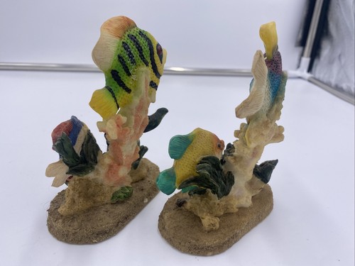 K’s Collection Topical Fish Figurines Limited Edition - 第 5/5 張圖片