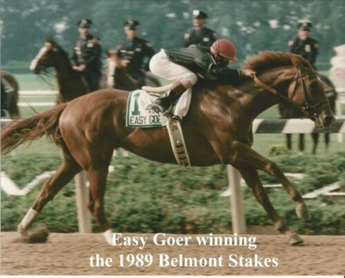 1989 - EASY GOER gewinnt die Belmont-Einsätze - Farb-Nahaufnahmefoto - 10 Zoll x 8 Zoll - Bild 1 von 1