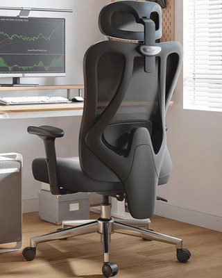 Hbada P3 Ergonnomic Office Chair with 2D Adjustable Lumbar Support, Office Chair