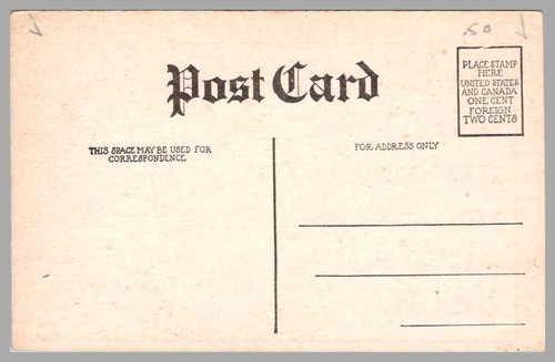I'll Be There With Mard On Hair My Ears Pinned Back Humor DB c1910 UNP Postal - Imagen 2 de 2