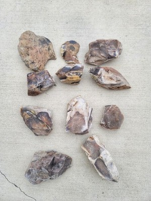 4 Lb Cobbles & Flakes Of Georgetown Flint - Texas - Knapping & Firestarting