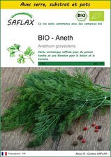 SAFLAX - Kit de culture - BIO - Aneth - 700 Graines