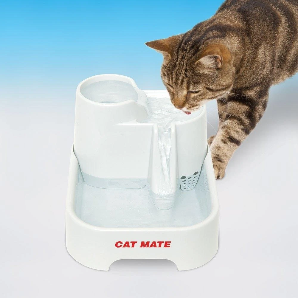 Pet mate cat clearance fountain