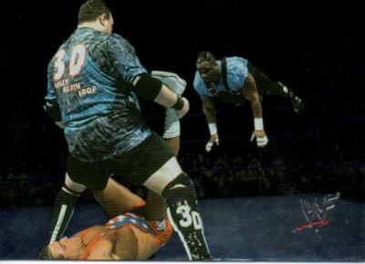 The Dudley Boys Boyz 3D WWE Hologram Comic Image Trading Card 2000 #15