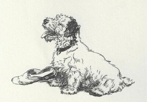 Sealyham Terrier "Shoe" - CUSTOM MATTED - Vintage Dog Art Print - 1932 D. Thorne
