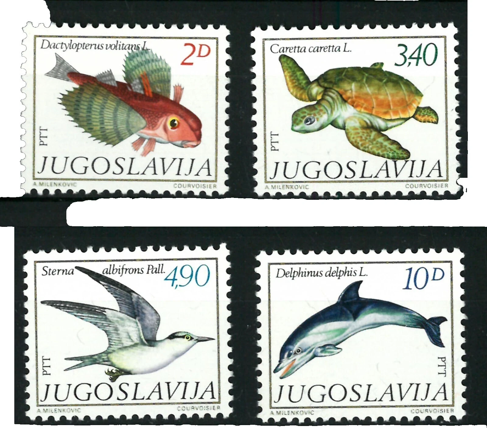 En excelente estado nunca abisagrado/estampillada sin montar o nunca montada Peces Sellos yugoslavo