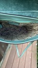 Picture 10 of 11