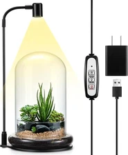 Maxdot Plant Terrarium Kit with Grow Light, 4.8'' x 7.87'' Glass Dome Terrarium 
