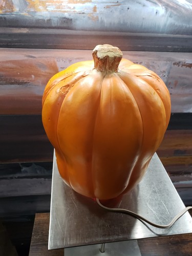 VTG 1995 Trendmasters Casper Friendly Ghost Halloween Light up Foam Pumpkin Mold - Picture 4 of 7