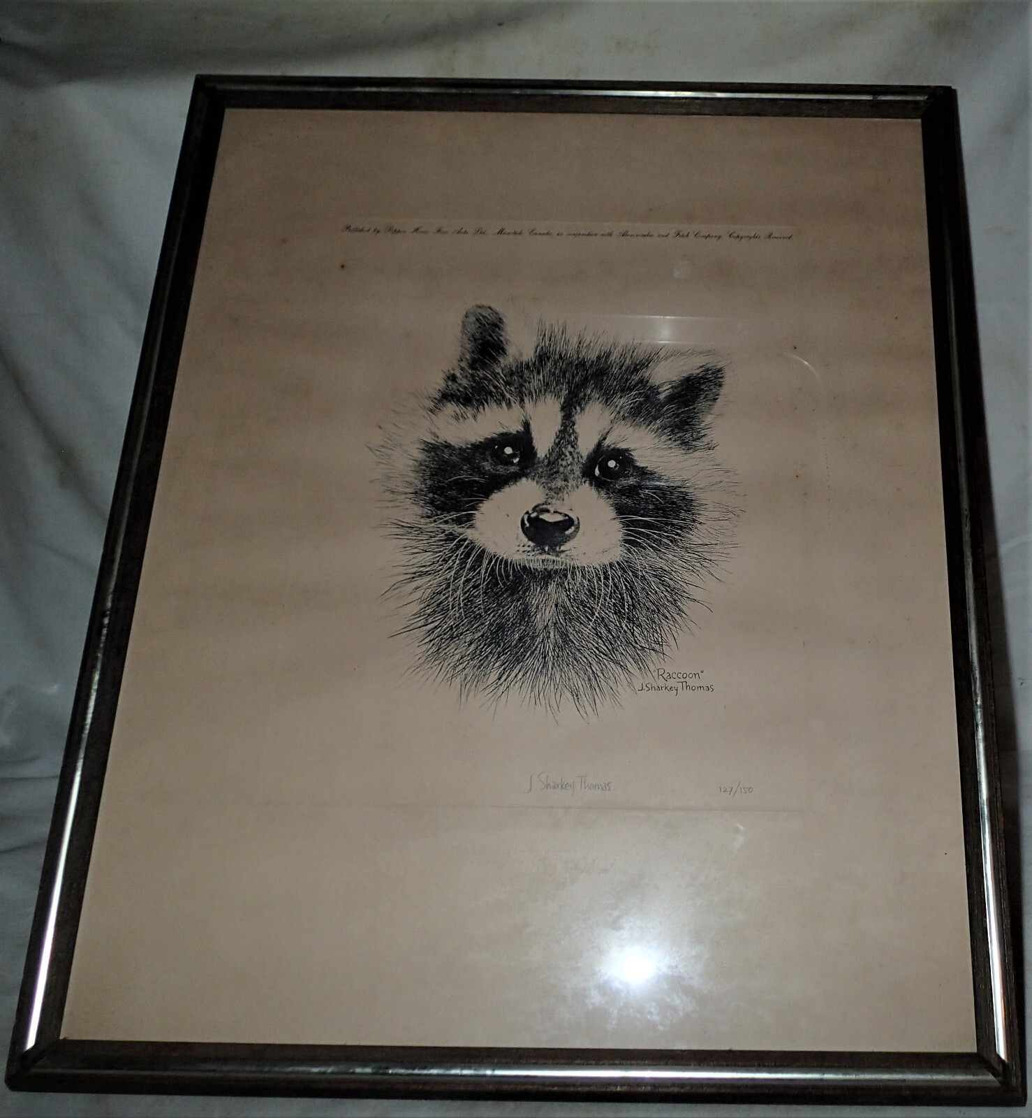 Picture 2 of 12
