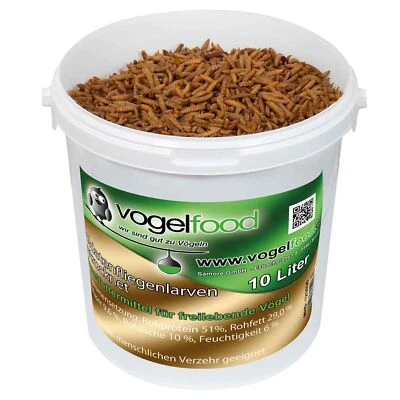 VOGELFOOD WIR SIND GUT ZU VÖGELN Soldatenfliegenlarven 10 L getrocknet im Eimer Wildvogelfutter Vögel Fisch Nager