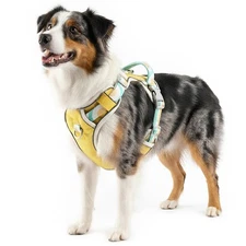 No-Pull Dog Harness with Back Clip | Escape-Proof Reflective Padded Vest | Ad...