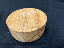 Wood turning blank, Spalted beech B grade dry 5 x 2" +- (231)
