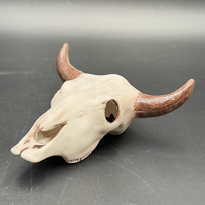 #ad Hand Painted Ceramic Cattle Cow Steer Skull Figurine Pottery Natural Paint 6x6” $17.57