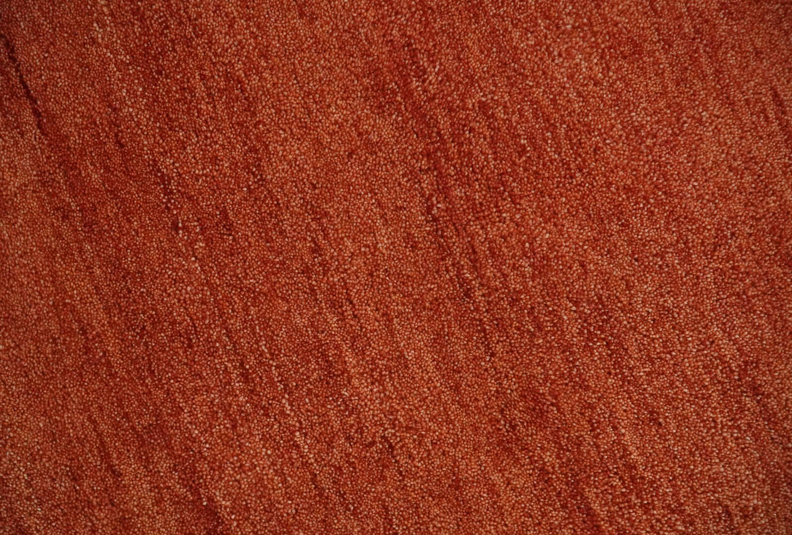 Picture 5 of 12