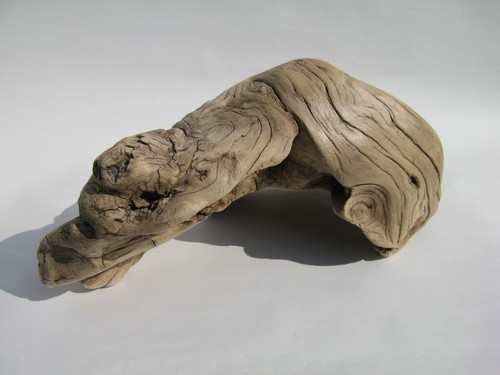 Swirled & Striated 14" Driftwood Piece Terrarium Decoration Aquarium Taxidermy - Picture 3 of 6