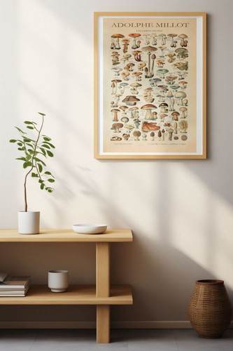 Vintage Adolphe Millot Mushroom Science Print, Fungi Botanical Poster Picture - Picture 2 of 6