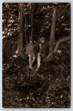 Postcard RPPC Two Cute Girls Dresses Long Socks Sitting Branch Tree Outdoor C1