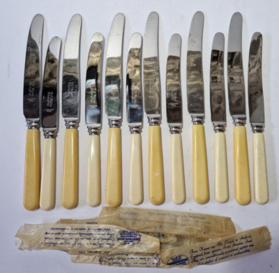 PASSENDES SET MIT 12 ESS- & DESSERTMESSERN MIT KUNSTKNOCHENGRIFF AUS KUNSTHARZ