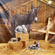 Bucherry 8Pcs Christmas Nativity Scene Decor 9x6 ft Stable Backdrop Manger An...