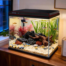 10 Gallon Glass Fish Tank, Aquarium Starter Kit, Simple Self-Cleaning Aquarium w