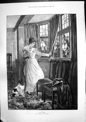 Alter Druck Just Peep Hanfstangel 100 Jahre Robert Burns Geburtsort Ayr1896 19.