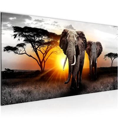 Wandbild Wohnzimmer Afrika Elefant Schlafzimmer Flur Deko Bild XXL 100x40 cm - Bild 1 von 4