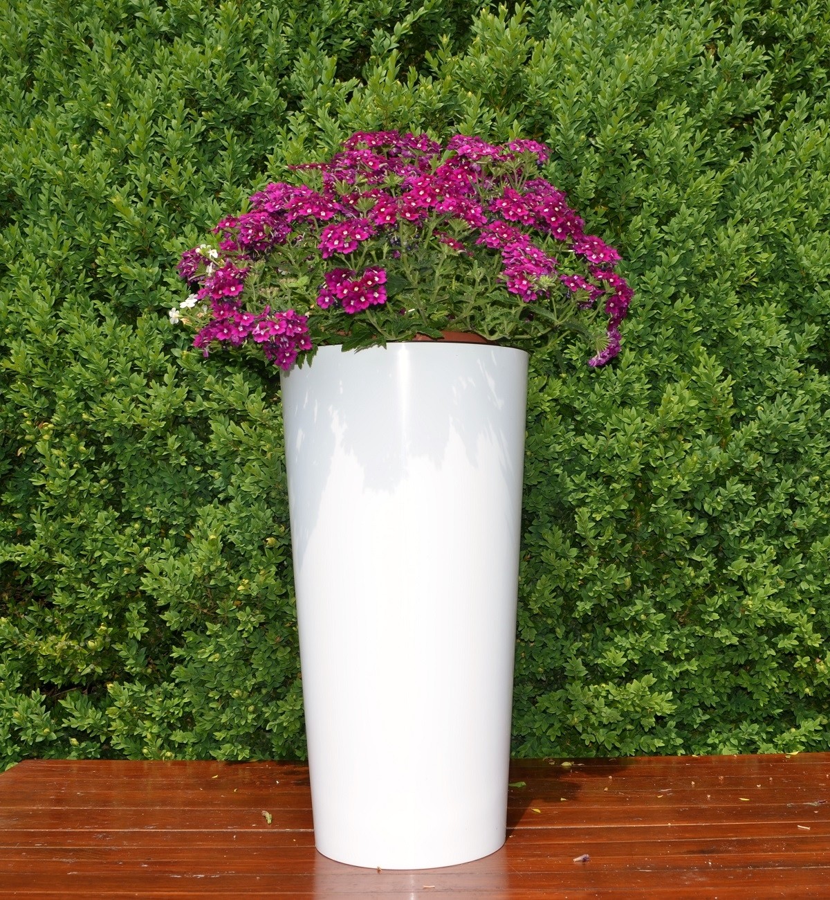 Edle TUBUS Blumenvase Matt Weiß – Pflanzeinsatz, 47,5 Cm Hoch, UV-beständig Für Innen & Außen