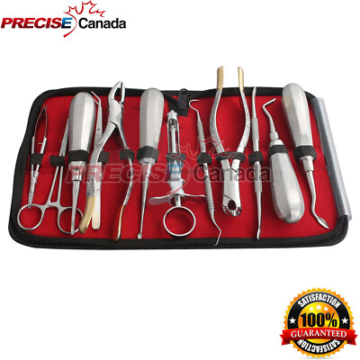 12 Pcs Oral Dental Extraction Surgery Extracting Elevators Forceps ...