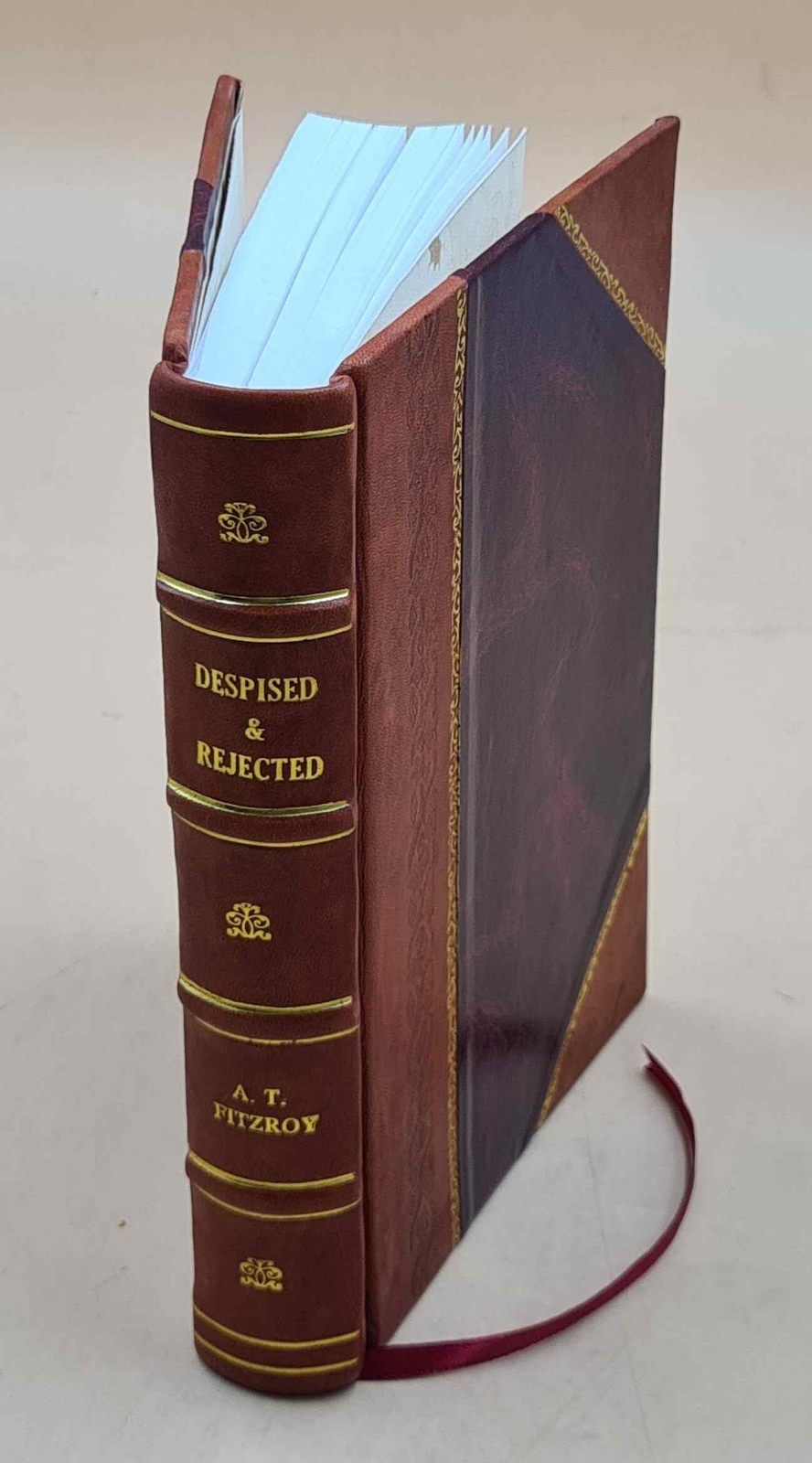 Despised & Rejected 1918 Leather Bound Novel