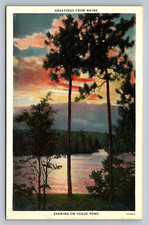 Postcard Maine Evening on Togue Pond Pine Trees  c. 1920s Unposted M462