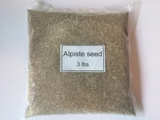 Alpiste Seed Canary Seed Birds Seeds Fresh Bird Food (3 Lbs)canaries