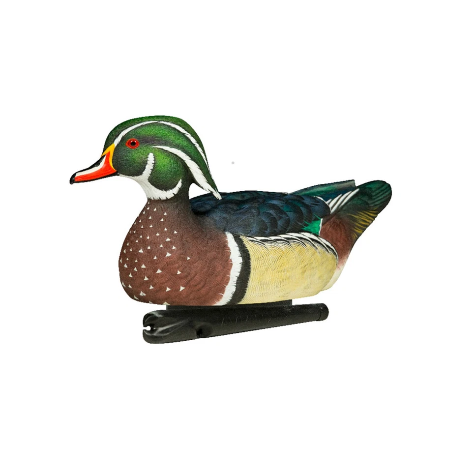 Avian X Topflight Realistic Floating Wood Duck Decoys Set of 6 (Multicolor) - Image 3 of 4