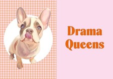 A Frenchie Life What to Know a - GOOD