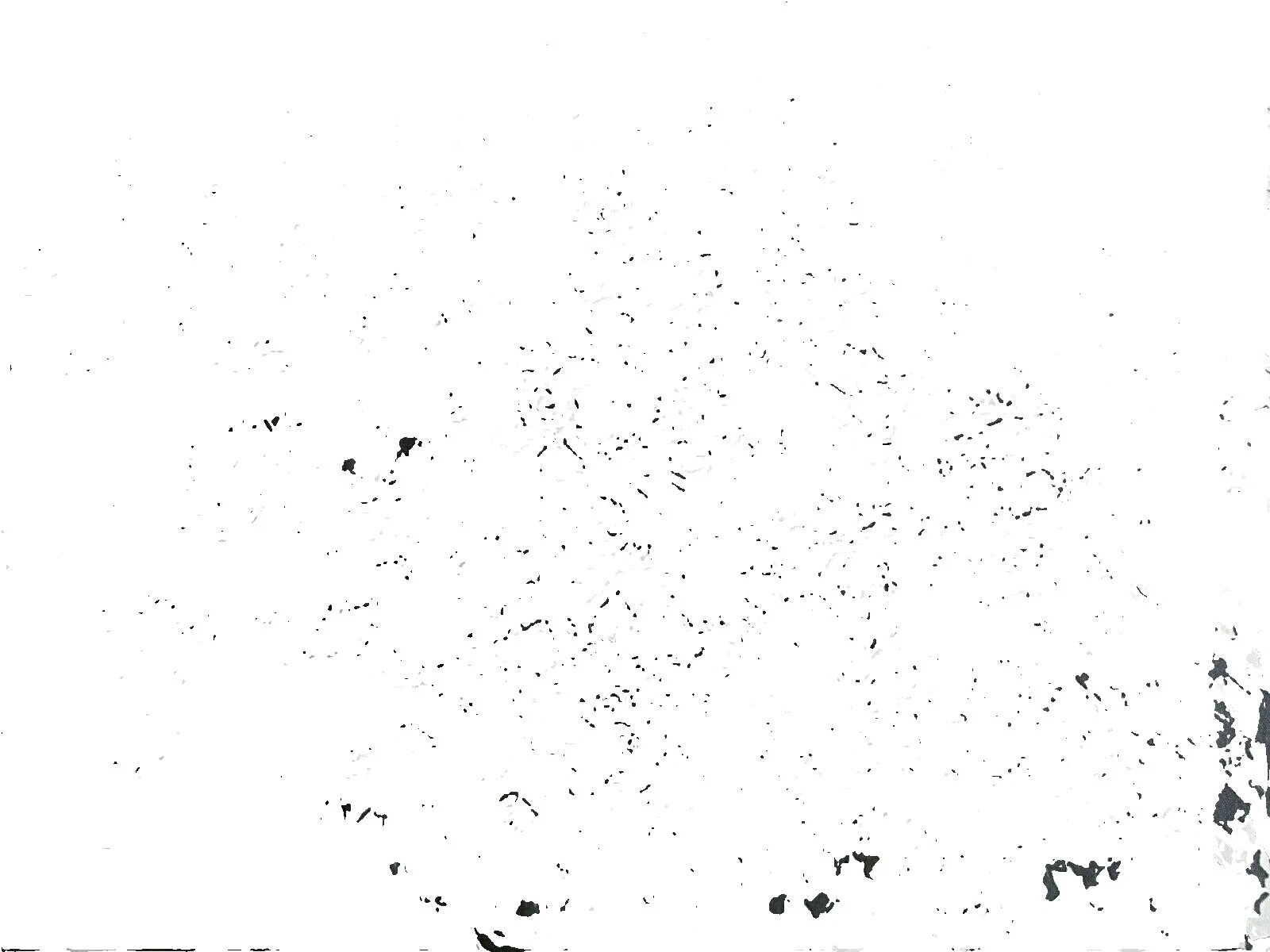 Acetate Flowers & Plants Floral Craft Fabrics